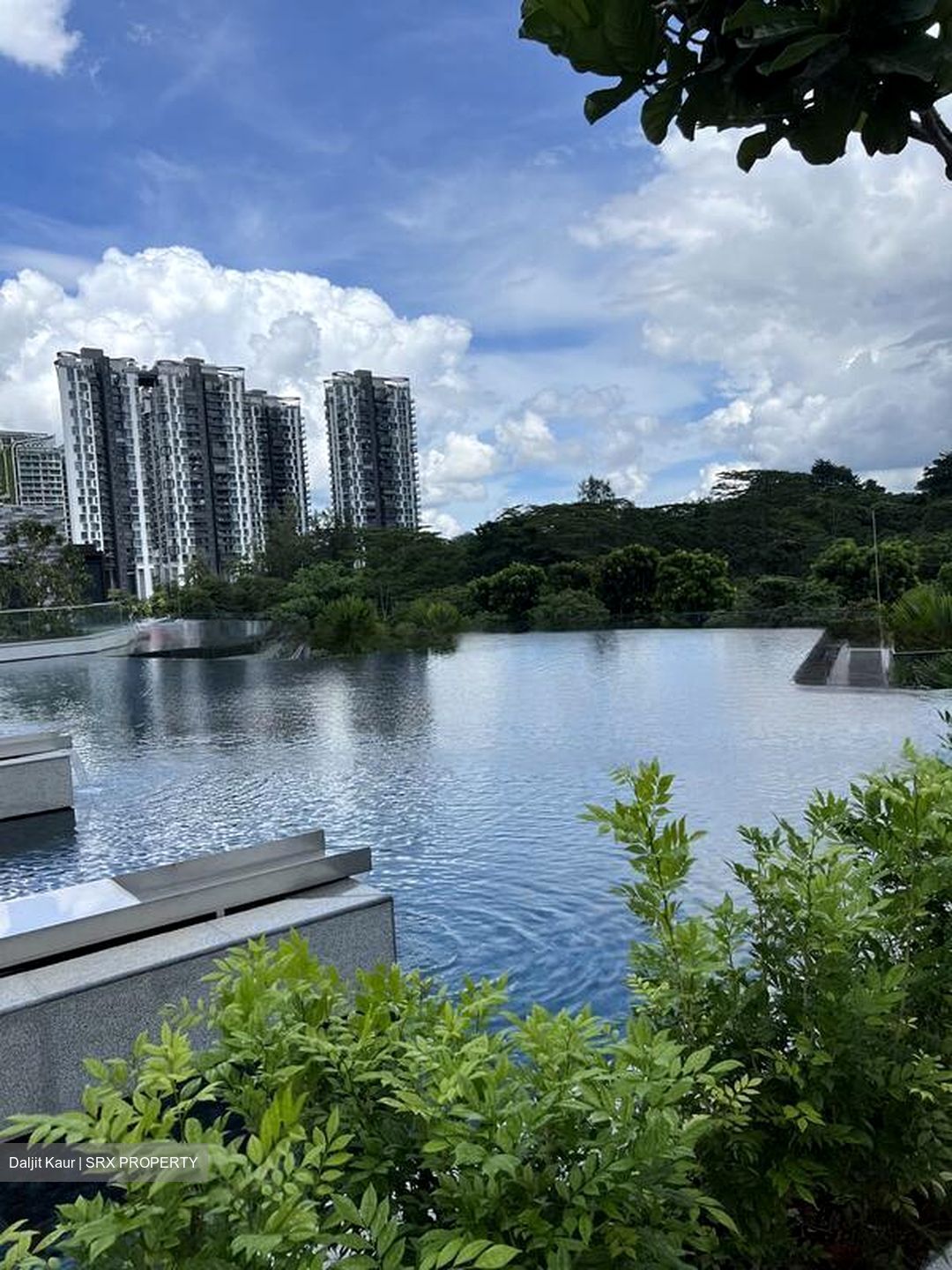Dairy Farm Residences (D23), Apartment #468452251